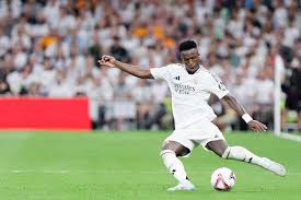 利用效率 利用效率